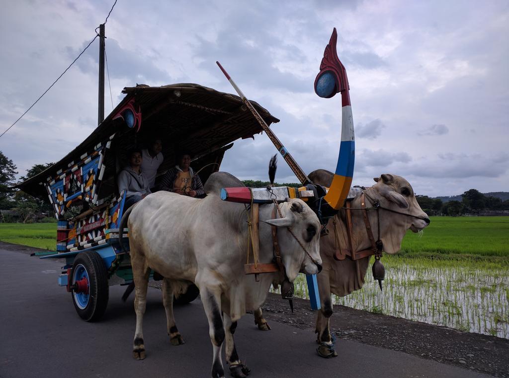 Joglo Ayem Tentrem Tempelanlage Tempelanlage Prambanan Exterior foto